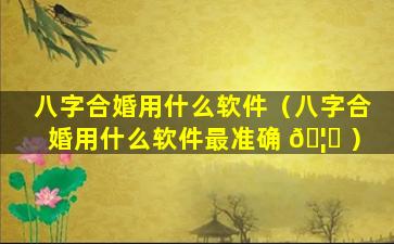 八字合婚用什么软件（八字合婚用什么软件最准确 🦄 ）